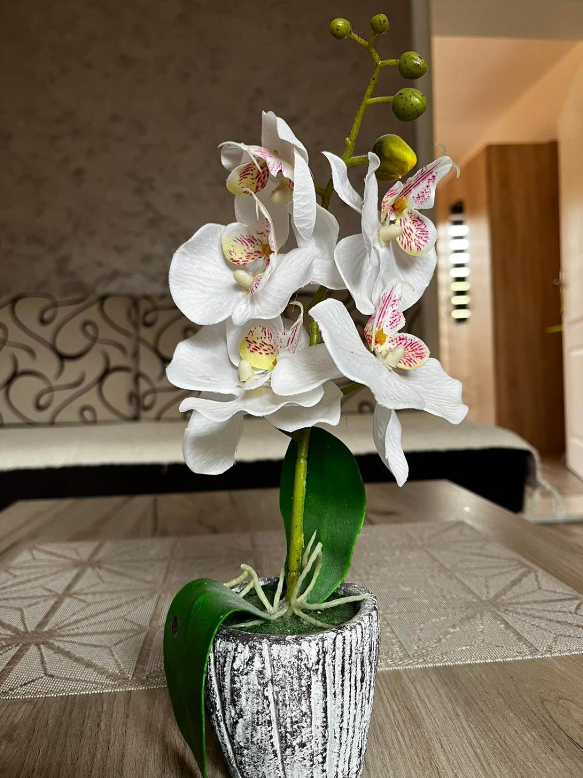 Apartmani Nikolic Višegrad Rom bilde